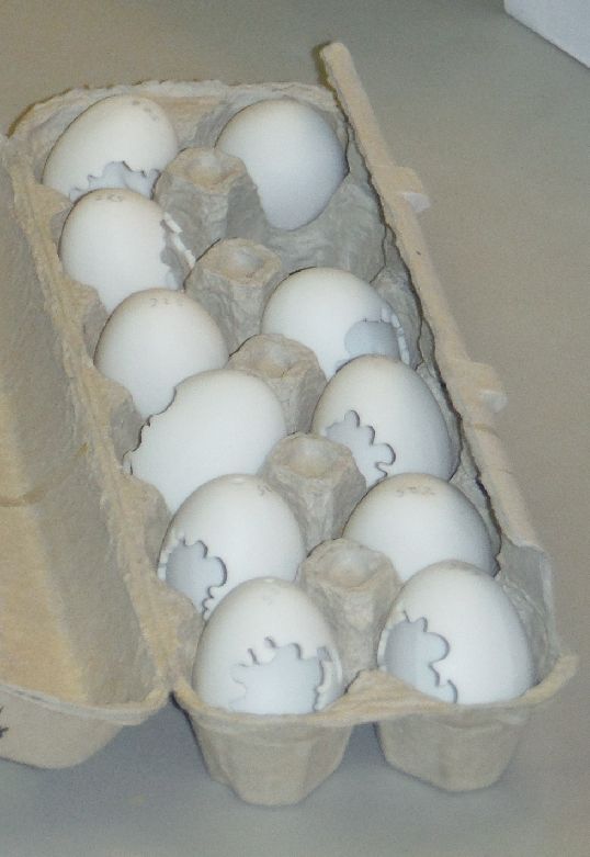 f2311.jpg