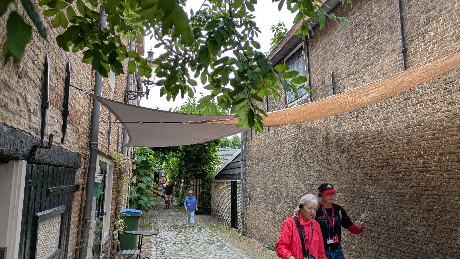 d0730.jpg