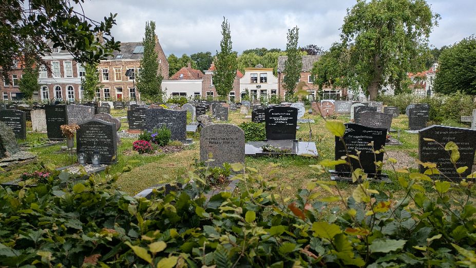 d0742.jpg
