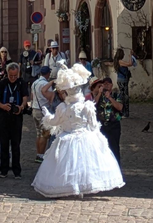 d0845d.jpg