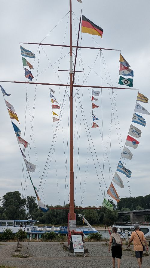 d1025.jpg