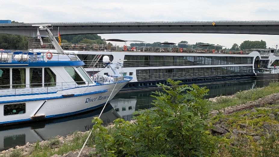d1026.jpg