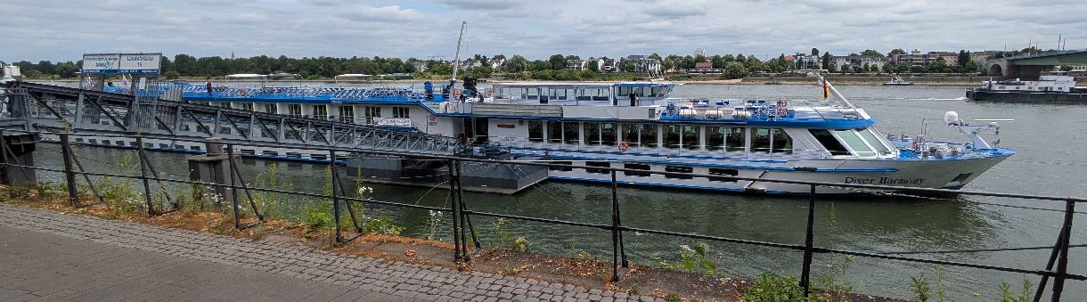 d1130.jpg