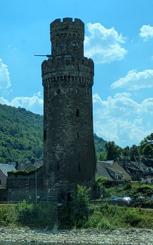 d1331.jpg