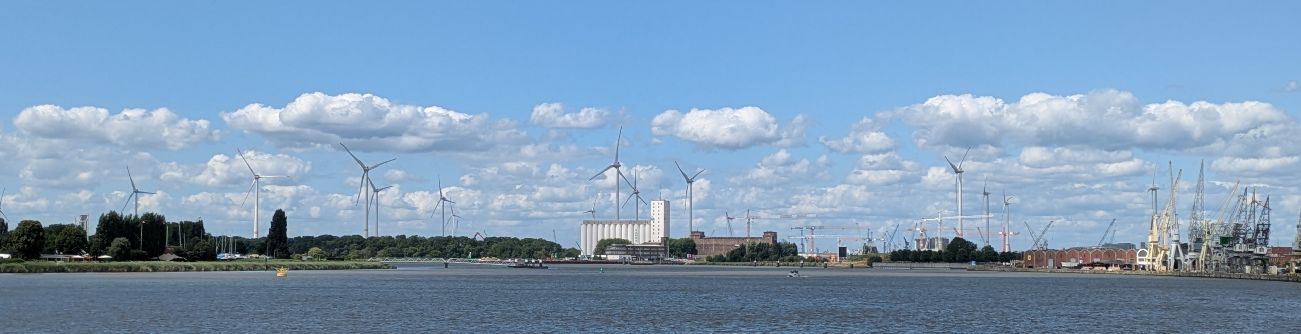 d1355.jpg