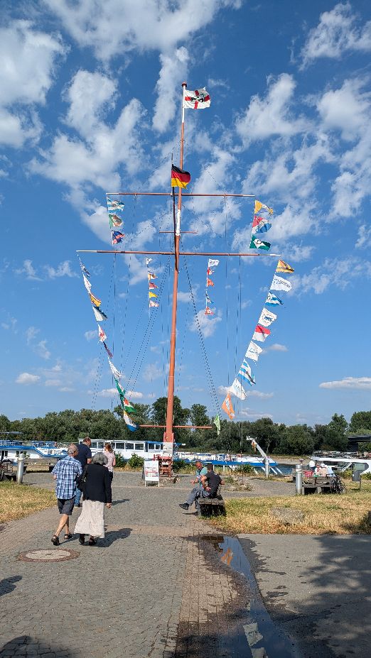 d1500.jpg