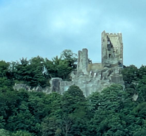d1724.jpg