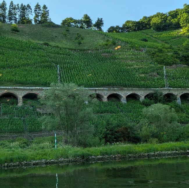 d1739.jpg