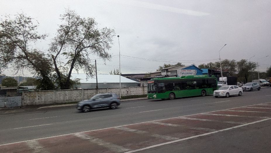 d0339.jpg