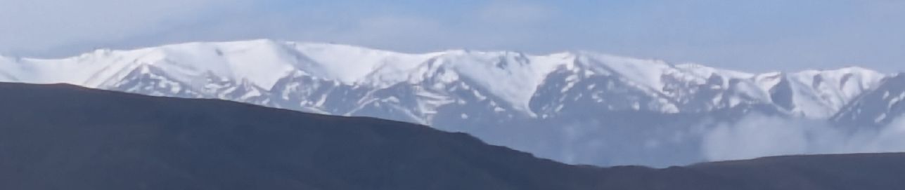 d0447a.jpg