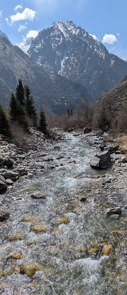 d0508e.jpg