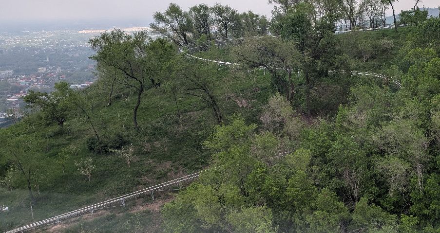 d0606c.jpg