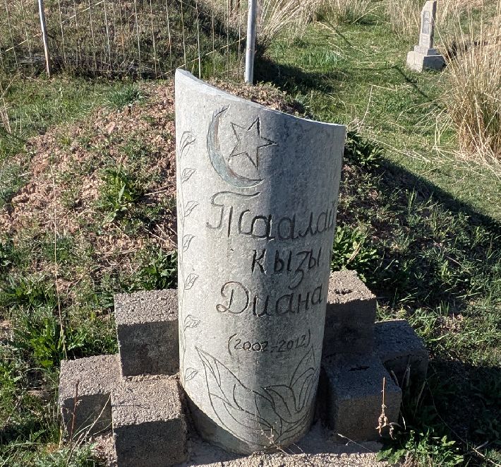 d1039.jpg