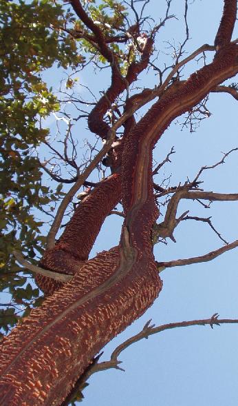 p0007.jpg
