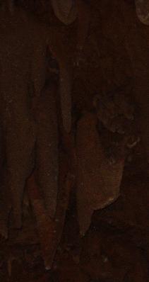 p0031.jpg
