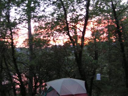 m2646.jpg