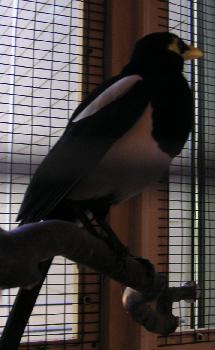 m2766.jpg