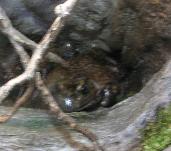 m2769.jpg