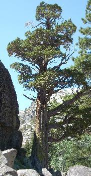 n0393.jpg