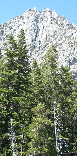 n0442.jpg
