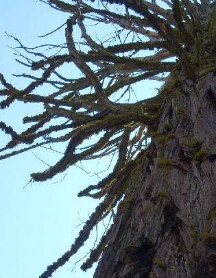 n0550.jpg