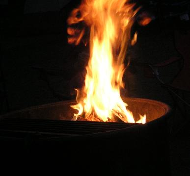 m6913.jpg