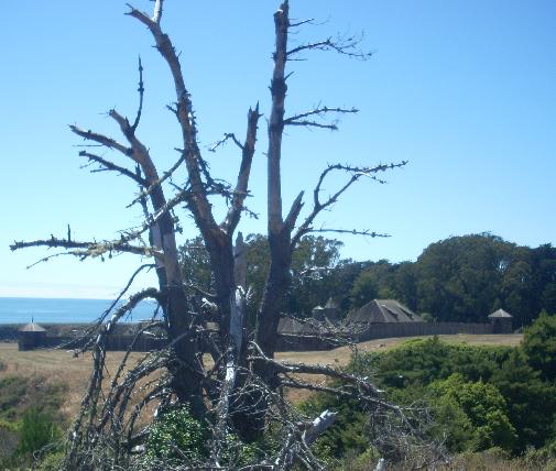 n2356.jpg