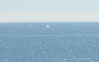 n2455.jpg
