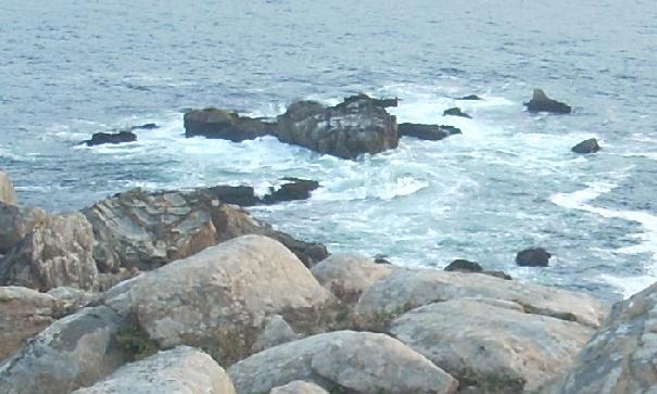 n2497.jpg
