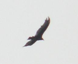 m2649.jpg