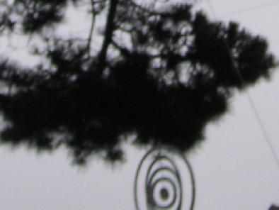 m2663.jpg