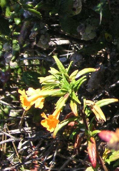 m2680.jpg